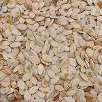 Watermelon Seeds