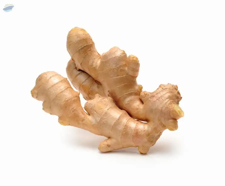 Fresh Ginger