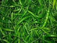 G4 Green Chilli
