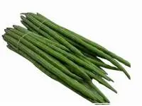 Drumstick