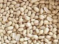 Blanched Peanuts