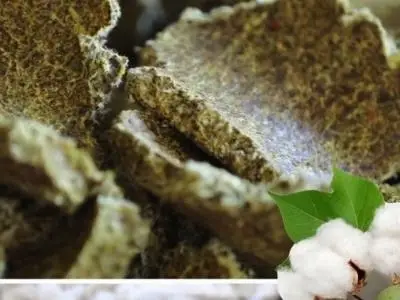 Cotton Seed Oil Cake