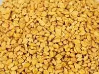 Fenugreek Seeds