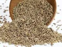 Dill Seeds