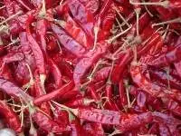 Dry Red Chilli