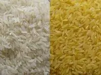 IR 64 Rice
