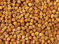 Desi Chana
