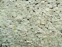 Guar Gum Split