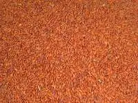 Asaliya Seeds