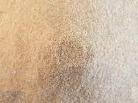 Dehydrated Garlic Granules