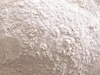 Dehydrated Garlic Powder