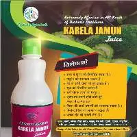 Karela Jamun Juice