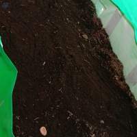 Vermicompost Fertilizer