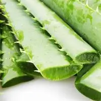 Aloe Vera Juice