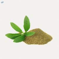 Stevia Powder