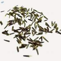 Stevia Seeds