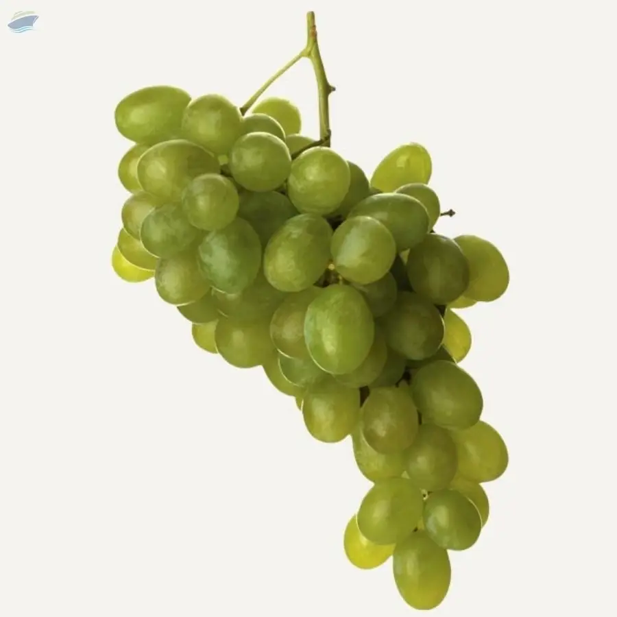 Fresh Green Grapes