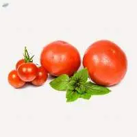 Fresh Tomato