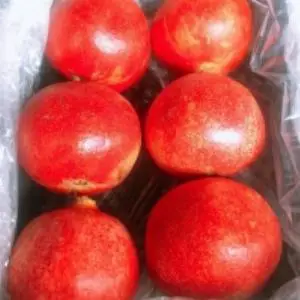 Wonderful Pomegranate