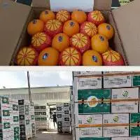 Fresh Valencia Orange