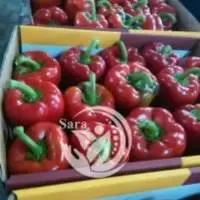 Color Peppers (capsicum)