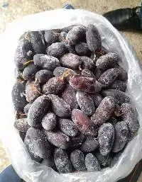 Frozen Dates