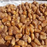 Siwa Dates  (the Cheapest Oasis Dates)