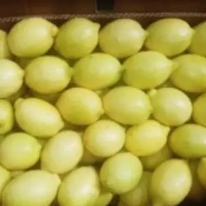 Lemon