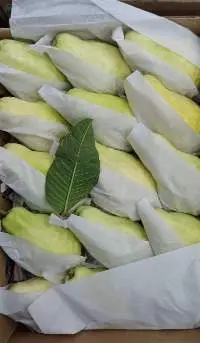 Guava