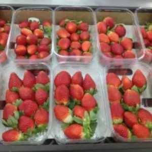 Strawberry