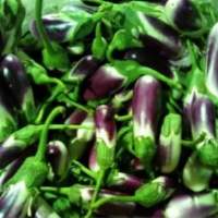 Egg Plant