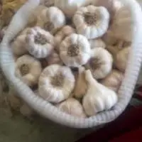 Dry White  Garlic
