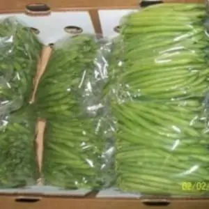 Green Beans