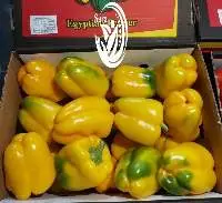 Color Peppers (Capsicum)