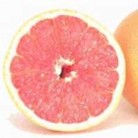 Grape Fruits