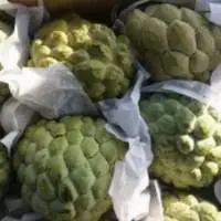 Custard Apple