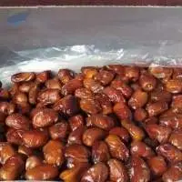 Semi Dry Dates