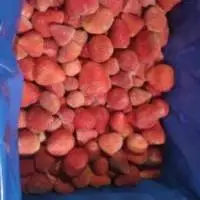 IQF Strawberries