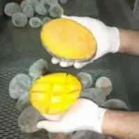 Egyptian Mango Frozen