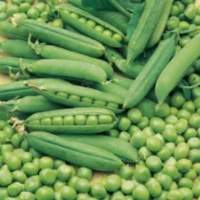 Green Peas