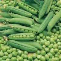 Green Peas