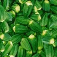 Fresh Okra