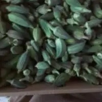 Fresh Okra