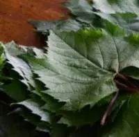 Grape Leaves