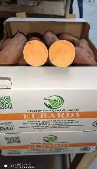 Sweet Potato