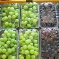Grapes