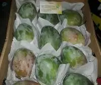 Fresh Egyptian Mango