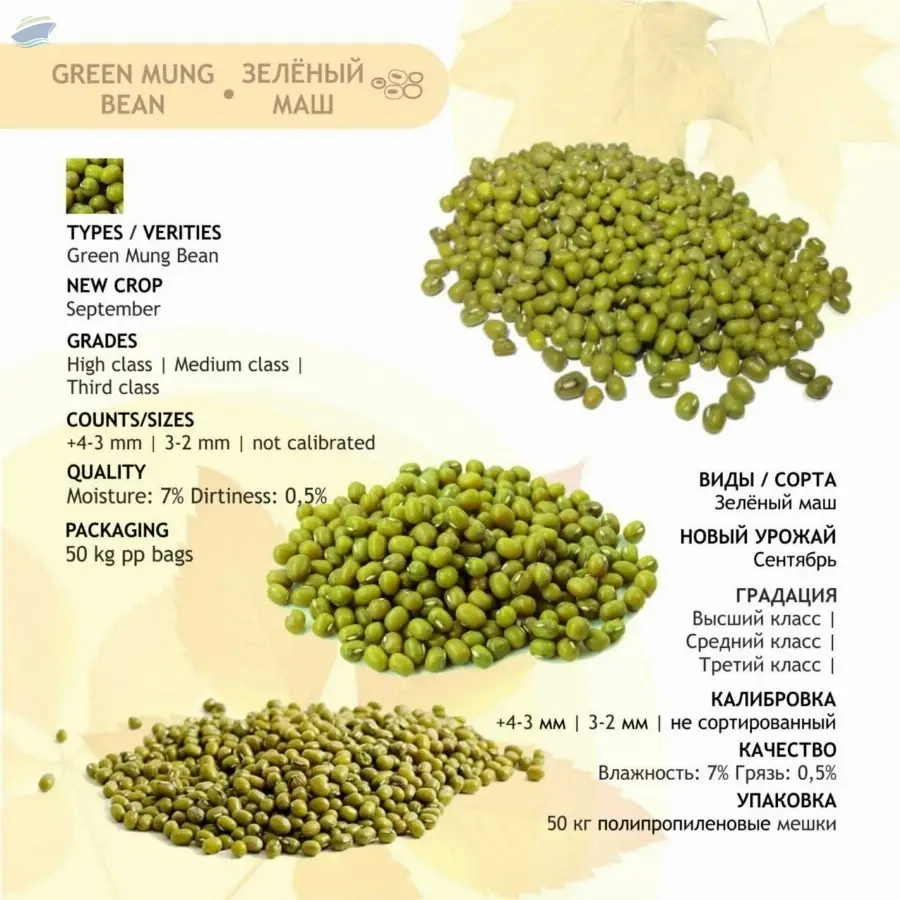 Green Mung Beans