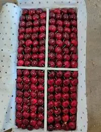 Cherries