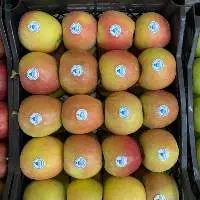 Fuji Apple